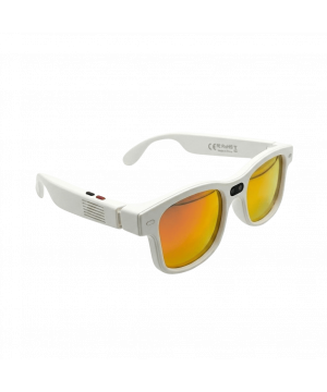 AiMB-G3 AI Smart Glasses