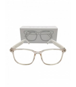 Smart Audio Glasses