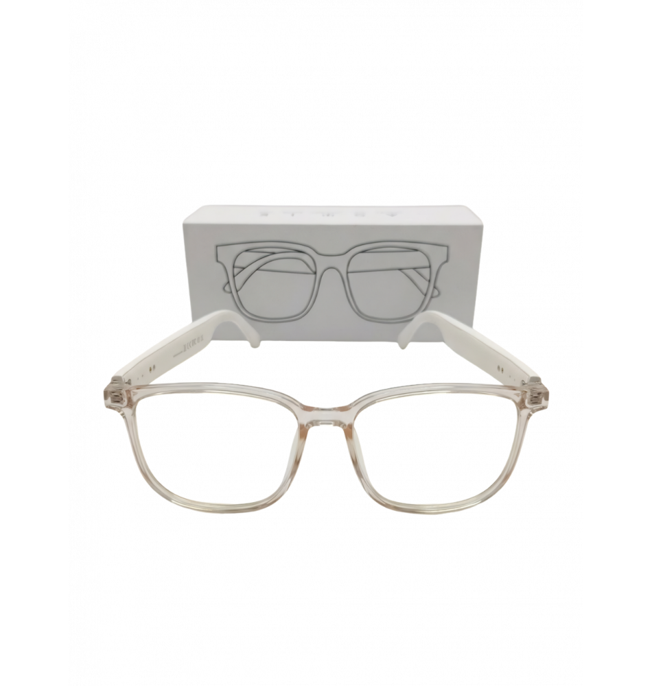 Smart Audio Glasses