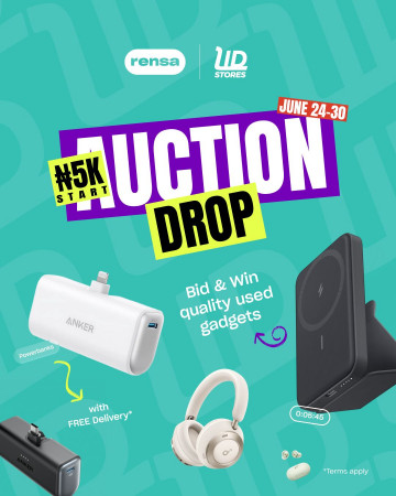 Lidstores Rensa