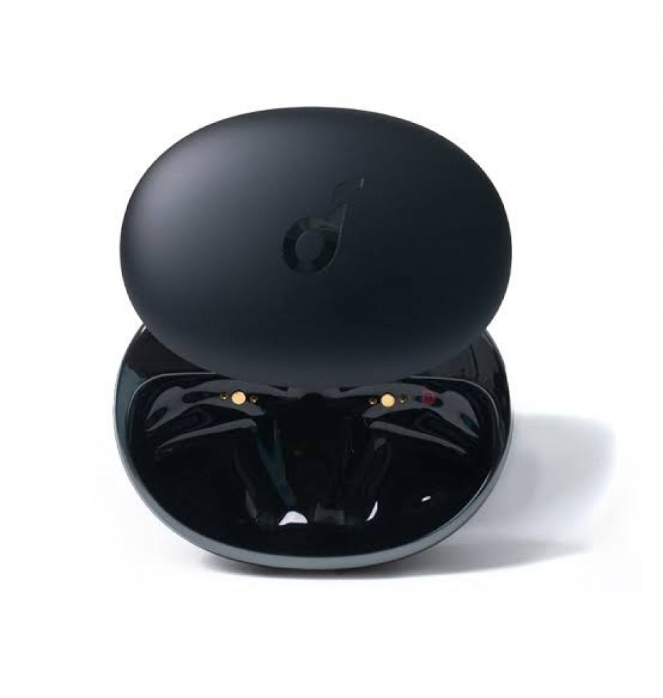 Liberty 3 Pro Charging case