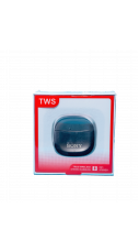 Sony TWS Earbuds