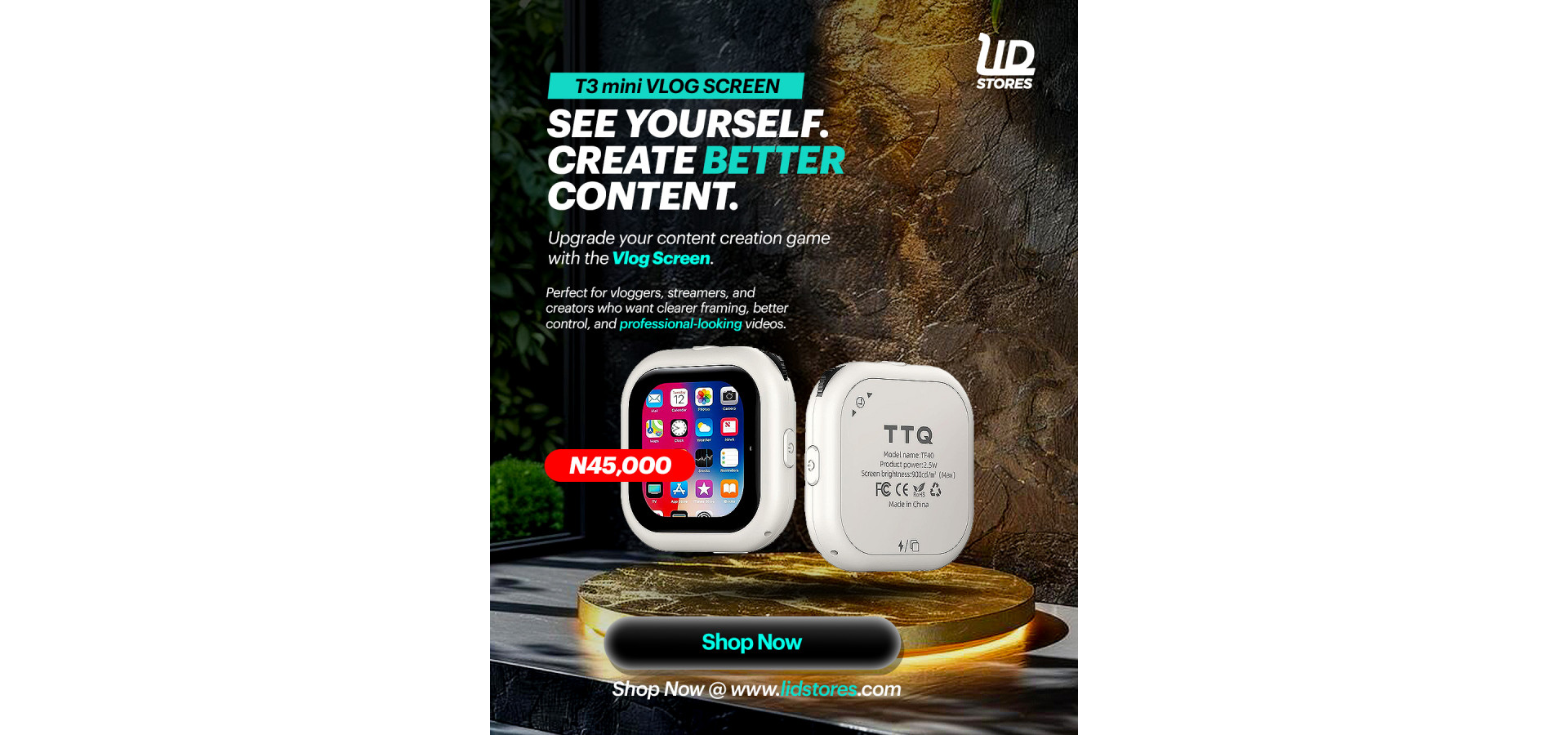 Lidstores Rensa