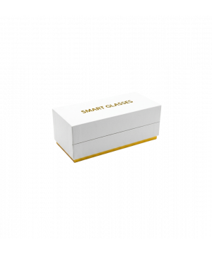 W610 Photochromic  AI Smart Glasses with 4K Video