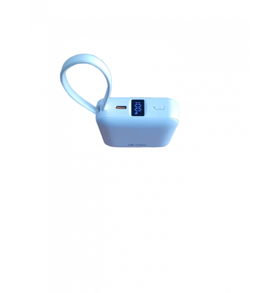 SHANGESHI 2 in 1 10KmAh Powerbank (DV-C)